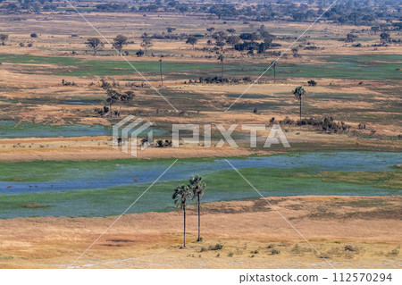 Aerial view of the Okavango Delta Aerial view of the Okavango Delta 112570294