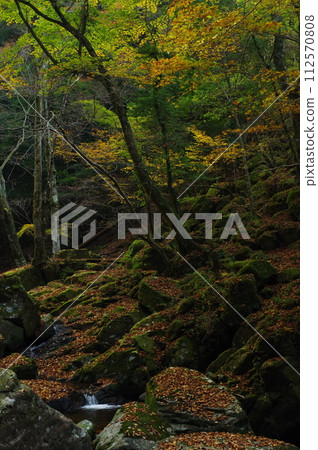 Autumn Akame 48 Falls (Nabari City, Mie Prefecture) Autumn Akame 48 Falls (Nabari City, Mie Prefecture) 112570808