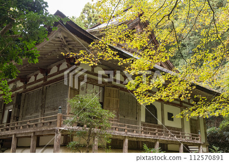 The main hall and autumn leaves of Baeksaiji Temple, one of the three Koto Sanzan temples in Higashiomi City, Shiga Prefecture, Japan The main hall and autumn leaves of Baeksaiji Temple, one of the three Koto Sanzan temples in Higashiomi City, Shiga Prefecture, Japan 112570891