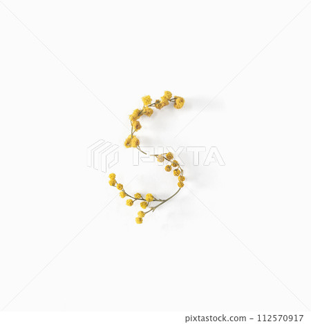 Flower letters. Letter S made from flowers mimosa yellow. Minimalism. Flower alphabet layout. Flat lay 112570917