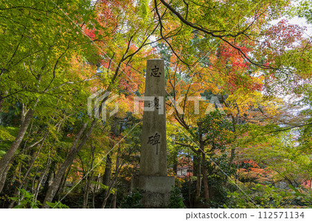 Japan: Loyalty monument and autumn leaves at Kongorin-ji Temple, one of the three Koto Sanzan temples in Aisho-cho, Aichi-gun, Shiga Prefecture Japan: Loyalty monument and autumn leaves at Kongorin-ji Temple, one of the three Koto Sanzan temples in Aisho-cho, Aichi-gun, Shiga Prefecture 112571134