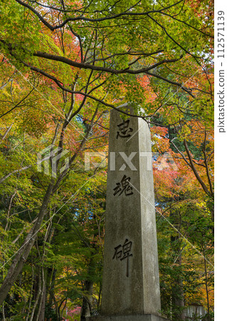 日本:滋賀郡愛知郡愛莊町三座江東三山寺之一金剛林寺的忠誠紀念碑與秋葉 日本:滋賀郡愛知郡愛莊町三座江東三山寺之一金剛林寺的忠誠紀念碑與秋葉 112571139