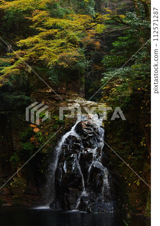 Autumn Akame 48 Falls (Nabari City, Mie Prefecture) 112571287