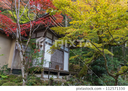 金剛林寺的明珠院和秋葉，金剛林寺是日本滋賀縣愛知縣愛莊鎮的三座江東三山寺廟之一 112571330