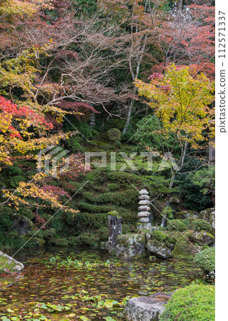 日本滋賀縣愛知縣愛尚町江東三山三寺之一金剛林寺明珠院的秋葉 112571337