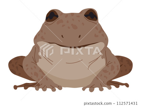 Frog or toad, amphibian animal. Type of froggy. Exotic tropical reptile. Flat vector illustration on white background 112571431