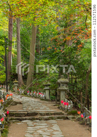 金剛林寺的入口處矗立著地藏菩薩像和秋葉。金剛林寺是日本滋賀縣愛知郡愛莊町的三座江東三山寺廟之一。 金剛林寺的入口處矗立著地藏菩薩像和秋葉。金剛林寺是日本滋賀縣愛知郡愛莊町的三座江東三山寺廟之一。 112571596