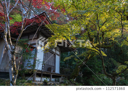 金剛林寺的明珠院和秋葉，金剛林寺是日本滋賀縣愛知縣愛莊鎮的江東三山三寺之一 112571868