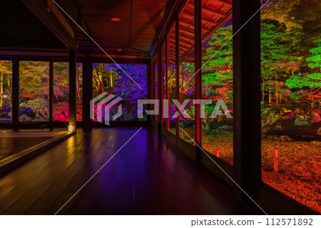 日本滋賀縣大津市的前竹林院，色彩繽紛的日本花園 112571892