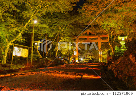 Illuminated Sanno Torii and autumn leaves in the precincts of Hiyoshi Taisha Shrine in Otsu City, Shiga Prefecture, Japan 112571909