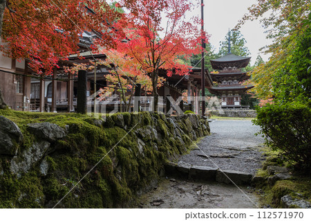 日本滋賀縣犬神郡高良町西名寺的三層寶塔、大殿和秋葉 112571970