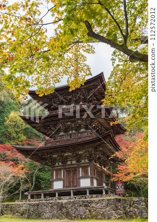 Three-storied pagoda and autumn leaves at Saimyoji Temple in Kora-cho, Inukami-gun, Shiga Prefecture, Japan 112572012