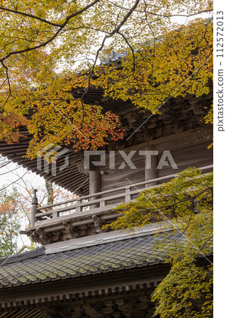 Sanmon gate and autumn leaves of Eigenji Temple in Higashiomi City, Shiga Prefecture, Japan Sanmon gate and autumn leaves of Eigenji Temple in Higashiomi City, Shiga Prefecture, Japan 112572013
