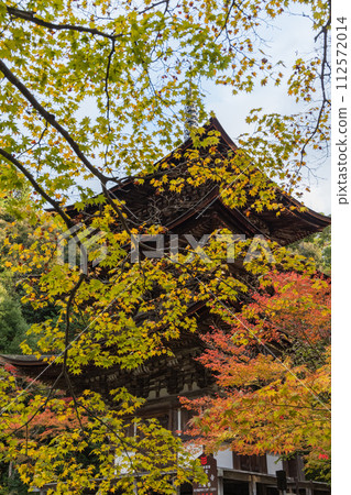 Three-storied pagoda and autumn leaves at Saimyoji Temple in Kora-cho, Inukami-gun, Shiga Prefecture, Japan Three-storied pagoda and autumn leaves at Saimyoji Temple in Kora-cho, Inukami-gun, Shiga Prefecture, Japan 112572014