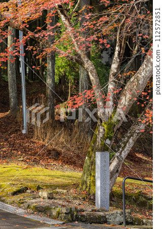 日本滋賀縣大津市延歷寺東塔境內的秋葉 112572851