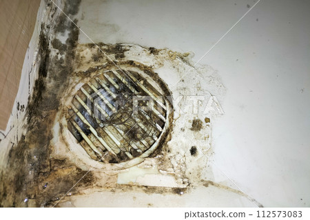 Drain grate clogged with hair in shower led to poor ventilation and appearance of putrefactive fungi. Example of unprofessional construction work, which can lead to consequences for health of people 112573083