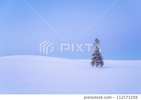 Christmas tree covered with snow before dawn in Biei, Hokkaido Christmas tree covered with snow before dawn in Biei, Hokkaido 112573208