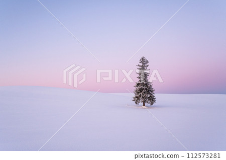 Christmas tree covered with snow before dawn in Biei, Hokkaido Christmas tree covered with snow before dawn in Biei, Hokkaido 112573281