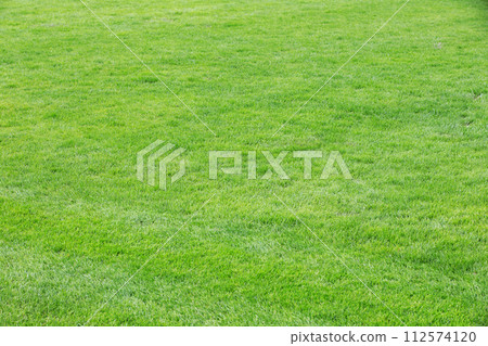 Green lawn 112574120