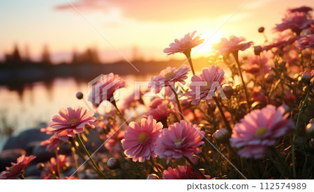Spring Nature. Beautiful Landscape. Green Grass and flowers. 112574989