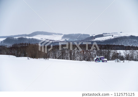 冬季北海道美瑛景觀 冬季北海道美瑛景觀 112575125