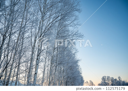 冬季北海道美瑛景觀 112575179
