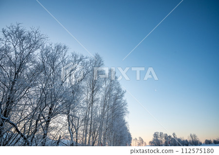 冬季北海道美瑛景觀 112575180