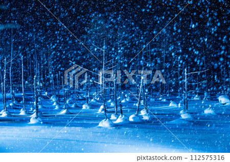 Blue pond illuminated in Biei, Hokkaido Blue pond illuminated in Biei, Hokkaido 112575316