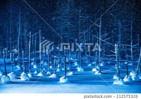 北海道美瑛町的青池被燈光照亮 北海道美瑛町的青池被燈光照亮 112575328