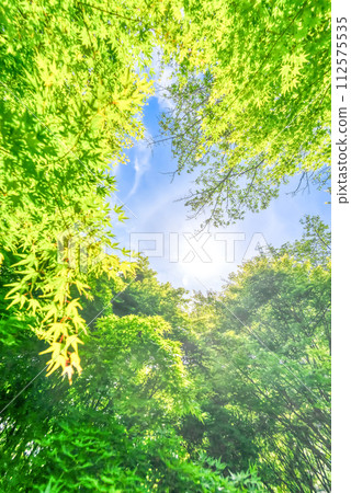 春天的宮瀨湖濱公園－新綠的影像 112575535