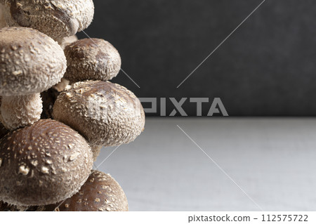 Shiitake cultivation Shiitake cultivation 112575722