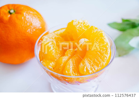 伊陽館 112576437