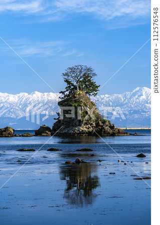 冬天從雨晴海岸看到的立山連峰 112576548
