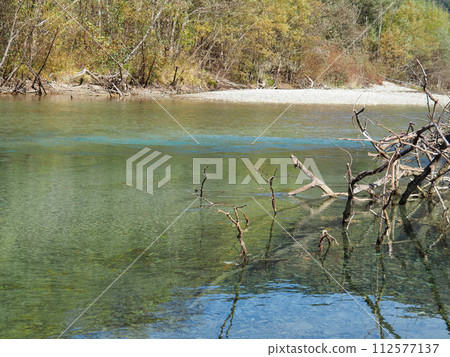 流經上高地的梓川和枯萎的浮木 112577137