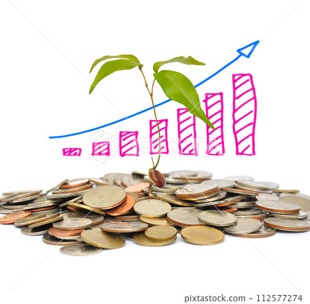 the tree and coin on white background the tree and coin on white background 112577274