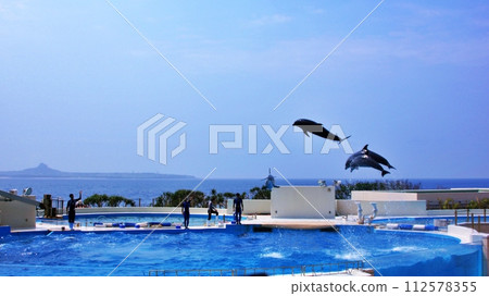 Okinawa Churaumi Aquarium Dolphin Show Okichan Theater Okinawa Churaumi Aquarium Dolphin Show Okichan Theater 112578355