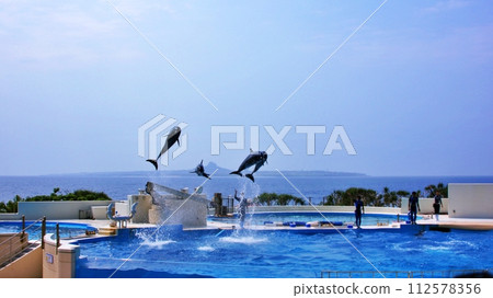 沖繩美麗海水族海豚表演 Okichan Theater 112578356