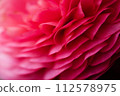 Red flower	 112578975