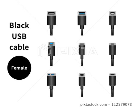 black usb cable/female 112579078