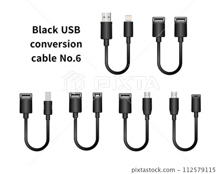 Black USB conversion cable No.6 112579115