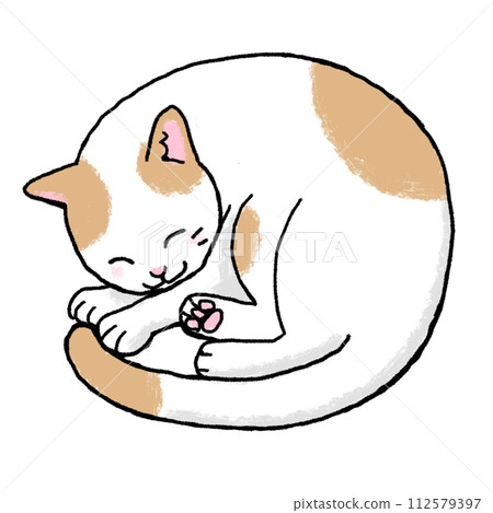 一隻貓蜷縮起來的插圖 112579397