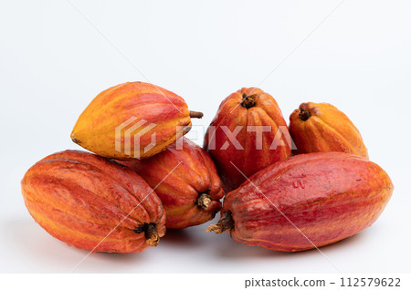 Pile of wet yellow cacao pods 112579622