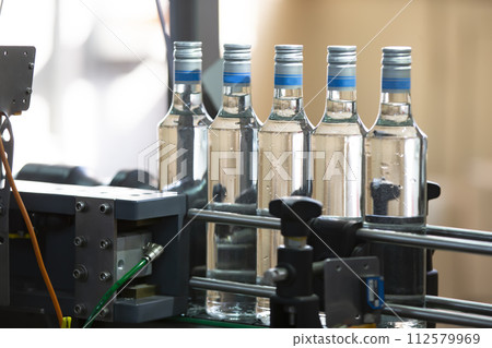 A long row of glass bottles on a conveyor belt. Production of alcoholic beverages. 112579969