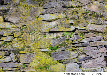 ancient stone wall. moss and plants on the grunge surface ancient stone wall. moss and plants on the grunge surface 112579970