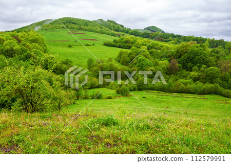 carpathian countryside landscape in spring. mountainous area of ukraine with forested hill and green meadows on a rainy day carpathian countryside landscape in spring. mountainous area of ukraine with forested hill and green meadows on a rainy day 112579991