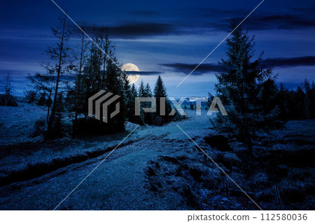 coniferous trees on a grassy meadow at night. magical carpathian landscape in full moon light 112580036