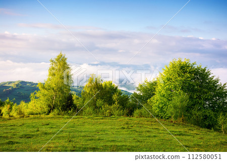 carpathian countryside scenery on a sunny morning in spring. mountainous landscape with grassy meadows and fog in the distant valley. clouds above the mountains 112580051