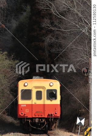 Kominato Railway Kiha 200 series diesel train running leisurely through the countryside with soft sunlight filtering through the trees_Photographed on February 24, 2024 112580130