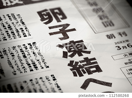 真實虛構的報紙頭版 112580268