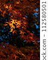 Momiji who changed leaves 112580501